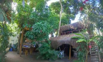 Imagem 3: Imóvel comercial para venda tem 350 metros quadrados em Praia de Pipa - Tibau do Sul - RN