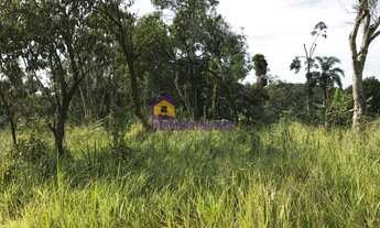Imagem 4: IBIÚNA - Terreno Padrão - RODOVIA BUNJIRO NAKAO, KM 62