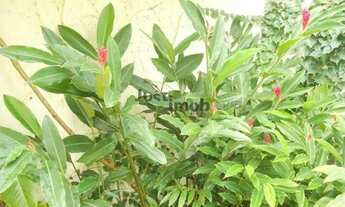 Imagem 4: Casa à venda no bairro Vila Nova Conceição - São Paulo/SP