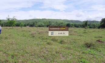 Imagem 3: Fazenda Extra no Município de Fazenda Nova ! 100 Alqueires !