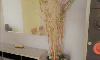 Imagem 6: Apartamento Mooca/ Jd Analia Franco! 2 quartos( 1 suíte) e lazer de clube