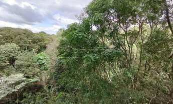 Imagem 7: Apartamento Padrão em São Carlos