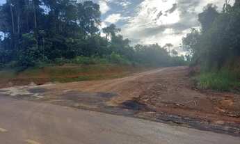 Imagem 5: Terreno Plano para Sítio no Km 26 da AM 070 (Manoel Urbano) Possui 1200m²