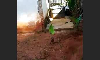 Imagem 2: Vendo casa Casa com aluguel com preço sob consulta