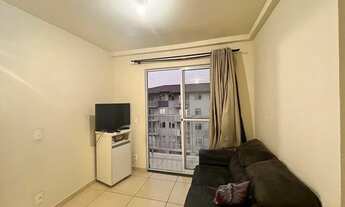 Imagem 5: JARAGUá DO SUL - Padrão - Rau