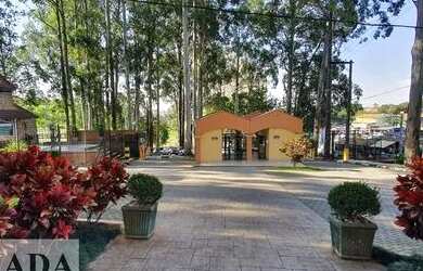 Imagem 5: Apartamento para Venda em São Paulo, Vila do Castelo, 3 dormitórios, 1 banheiro, 1 vaga