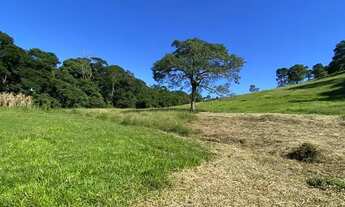 Imagem 2: KA- VENDO TERRENO COM OTIMA TOPOGRAFIA