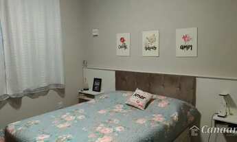 Imagem 6: IBIRITé - Padrão - Palmeiras