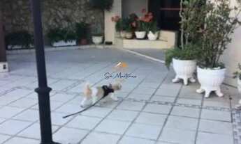 Imagem 7: APARTAMENTO RESIDENCIAL em JUNDIAÍ - SP, CENTRO