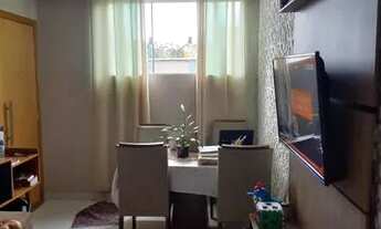 Imagem 3: IBIRITé - Padrão - Palmeiras