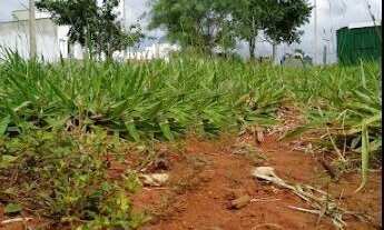 Imagem: Terreno de 7 x 25 m no condomínio Jardim