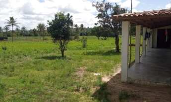 Imagem 5: Sítio em branquinha