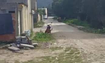 Imagem 2: Terreno Magarça