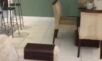 Imagem 2: Apartamento p temporada em Balneário Camboriú,a 400m da praia, no centro