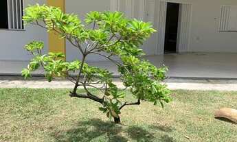 Imagem 6: Casa Praia das Dunas / Saco