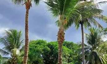 Imagem 3: Casa em Porto de sauipe Temporada Leia