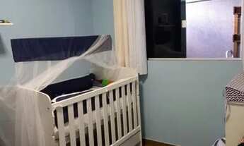 Imagem 7: IBIRITé - Padrão - Palmeiras