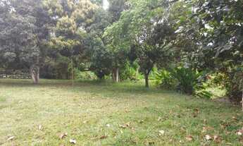 Imagem 2: Vendo Sitio Em Paudalho 6.200m2 Baixamos o Preço Pra Vender logo