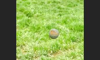 Imagem 5: Fazenda à venda, 113 alqueires por R$ 24.860.000 - Itarumã/GO