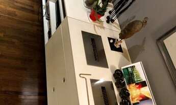 Imagem 5: SãO PAULO - Padrão - Perdizes