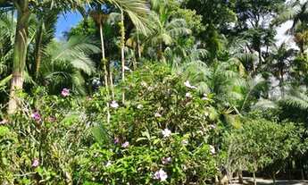 Imagem 5: Fazenda/Sítio/Chácara para venda com 1221 metros quadrados