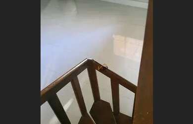 Imagem 7: Casa com 5 dormitórios à venda, 400 m² por R$ 650.000,00 - Ribeirão da Ponte - Cuiabá/MT