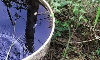 Imagem 3: LOTES EM ITAITÚ de Jacobina