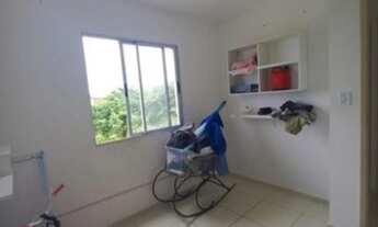 Imagem 5: Doce Vida Primavera **