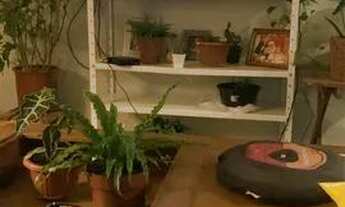 Imagem: Procuro menina pra dividir apartamento