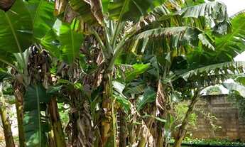 Imagem 7: Chácara para venda possui 1.200 m² terreno 300 m² construção Portal Ipês