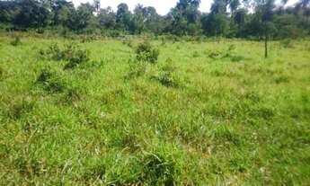 Imagem 4: Chácara 1.800m² 100% plana, toda terra de plantio, Jaboticatubas (Temos varias opções)