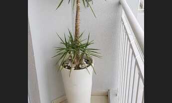 Imagem 6: Apartamento para Aluguel - Jardim Iracema, 2 Quartos, 57 m2