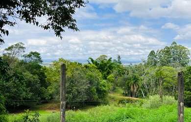 Imagem 2: Chácara em Sapiranga com 3 hectares