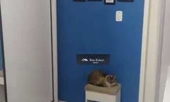 Imagem 7: Apartamento com 2 dormitórios à venda, 42 m² por R$ 175.000 - Jardim Tranqüilidade - Guaru