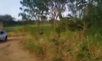 Imagem 3: Lotes nas Mansões das Águas Quentes