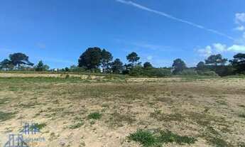 Imagem 7: Terreno à venda, 600 m² por R$ 769.000,00 - São João do Rio Vermelho - Florianópolis/SC