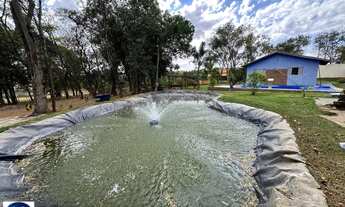 Imagem 2: Chácara à Venda em Bonfinópolis - GO