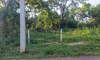Imagem 2: Terreno 3ha, terra plana a 3Km do Rio do Peixe, Felixlandia-MG