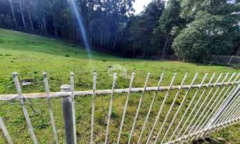 Imagem 14: Vendo chácara em Forqueta com 20000m2 por R$2.500.000.000,00. Com água, luz, internet e 4