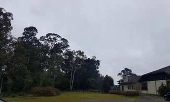 Imagem 7: Area - Bairro Carniel