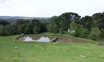 Imagem 6: Sítio em Rua Estrada Velha - Salto Eletra - São Francisco de Paula/RS