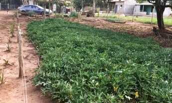 Imagem 2: Rancho à venda, 100 m² por R$ 280.000,00 - Zona Rural - Rio Verde/GO