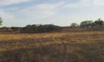 Imagem 2: 10 tarefas de terra