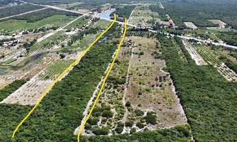 Imagem 2: ÓTIMO TERRENO 22Ha ÀS MARGENS DA CE-040 !