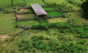 Imagem: Vendo fazenda 463 alqueires região de Barra