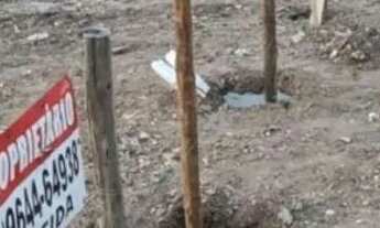 Imagem 6: Terreno 130mil Terreno / lote com venda por R$130.000