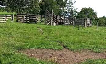 Imagem 7: Fazendinha a venda, em Goiás Velho - GO