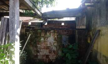 Imagem 7: Vendo casa na rua tulipa em muribequinha