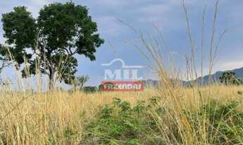 Imagem 7: Fazenda 154 alqueires (745,36 hectares) Colinas Do Sul - Go