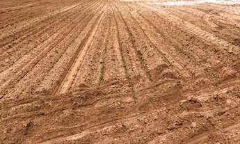 Imagem: Fazenda a venda, com dívida Bancária